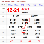 1755869747043.png